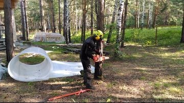 сколько стоит спилить одно дерево