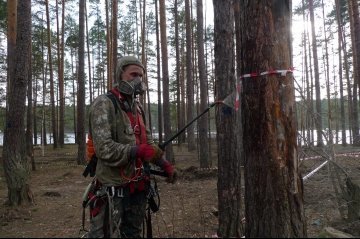 инсектициды от короеда