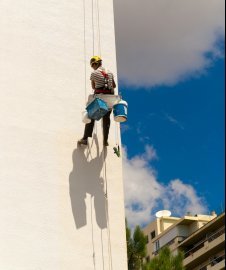 профессионал промальп