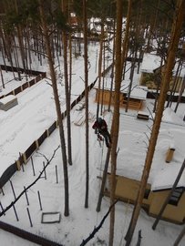 Обрезка веток