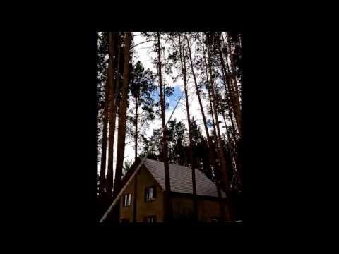 Высотная валка дерева частями промышленными альпинистами