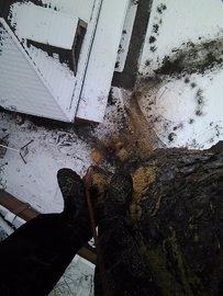 удаление деревьев альпинистами