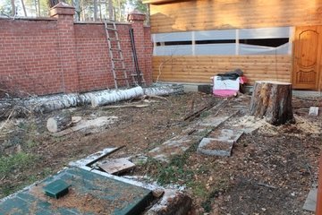 удаление деревьев в подмосковье