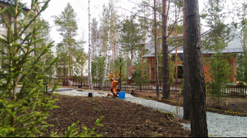 санитарная обрезка кустарников