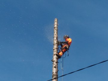 удаление деревьев в екатеринбурге