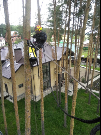 услуги арбористов