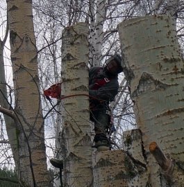 альпинисты промышленные