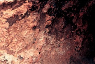 химическая защита материалов